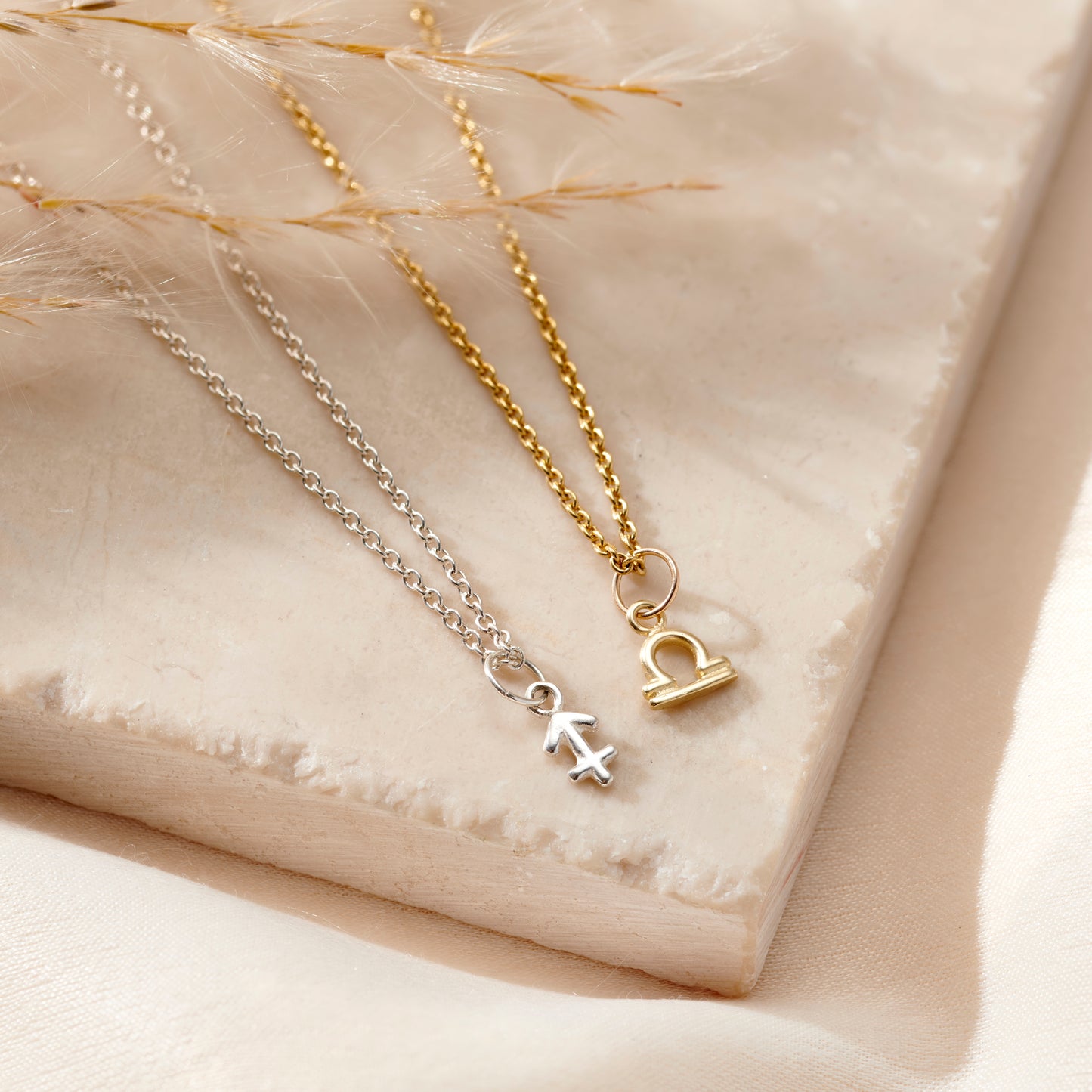 Petite Zodiac Charm Necklace