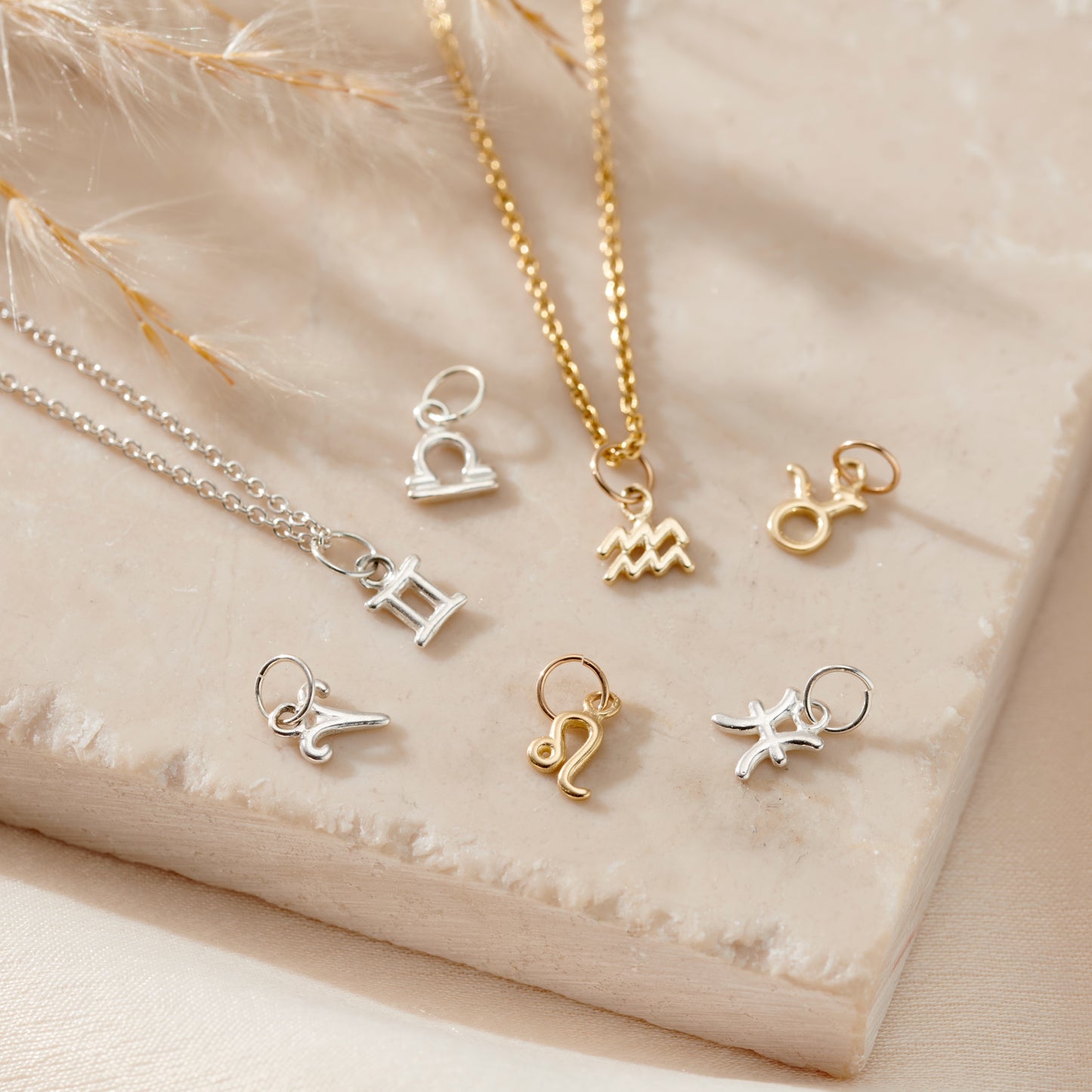 Petite Zodiac Charm Necklace