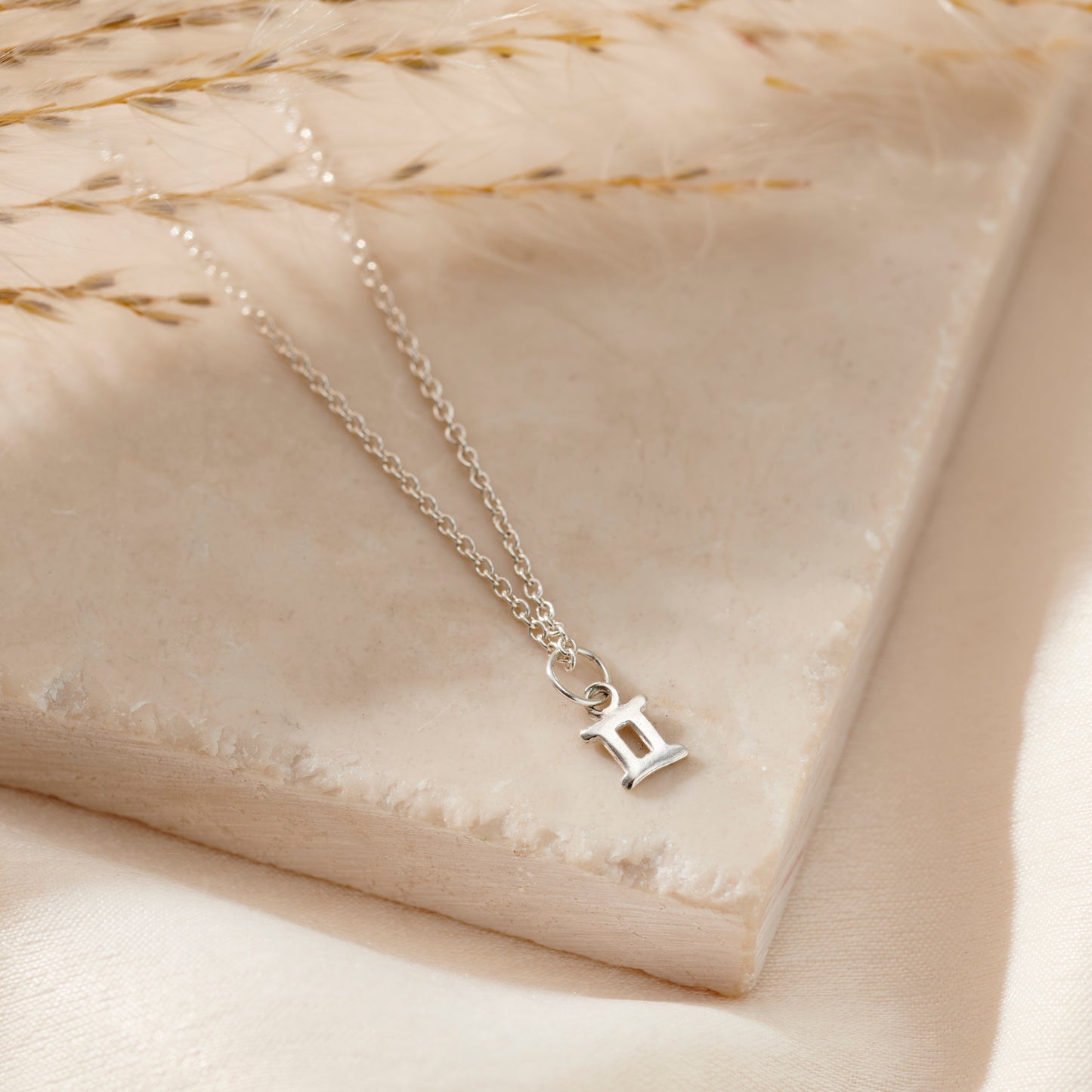 Petite Zodiac Charm Necklace