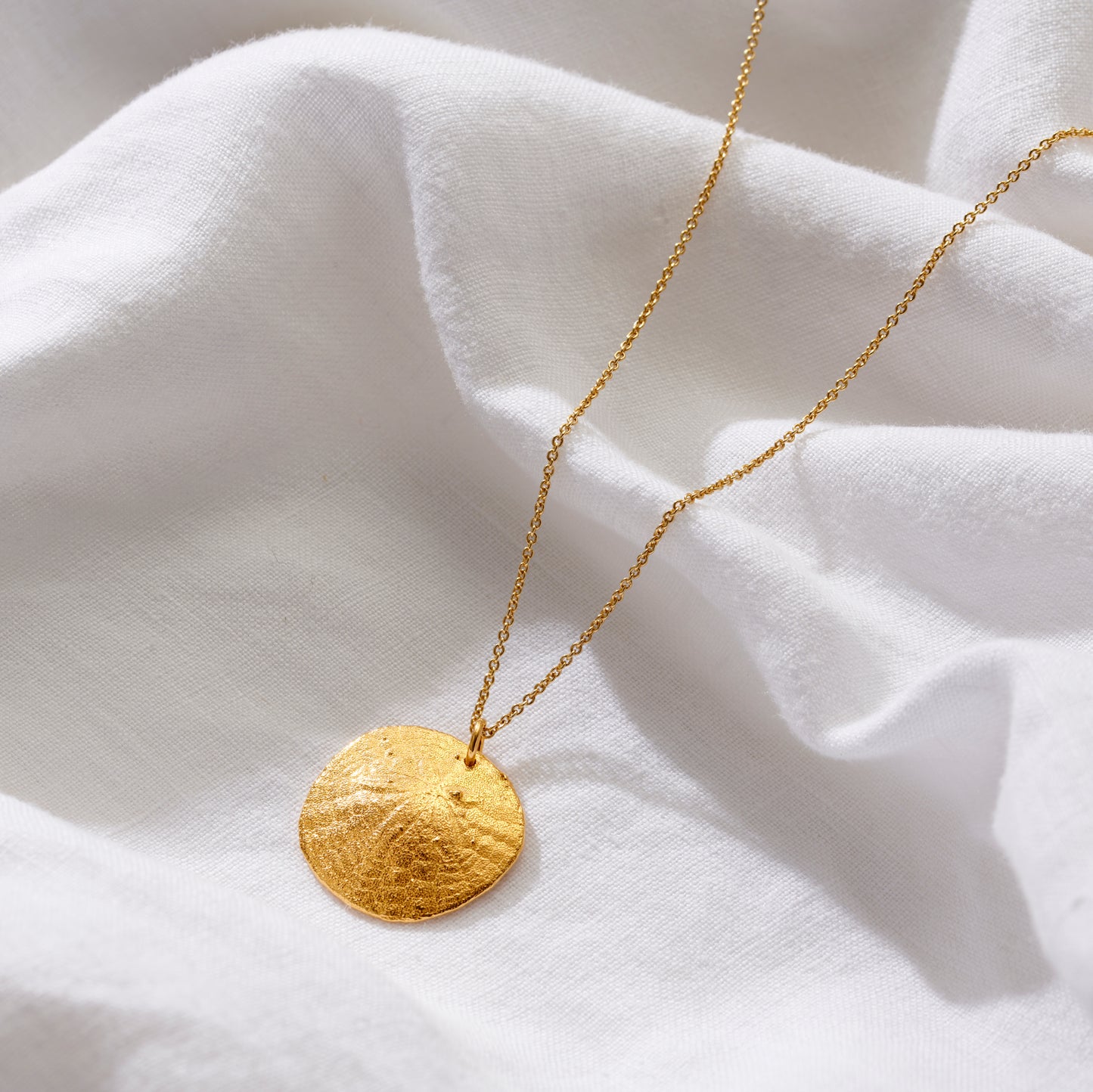 Large Sand Dollar Necklace