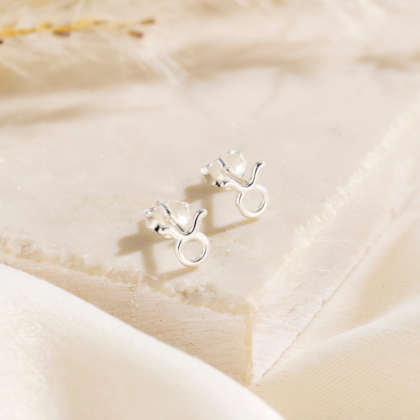 Zodiac Stud Earrings