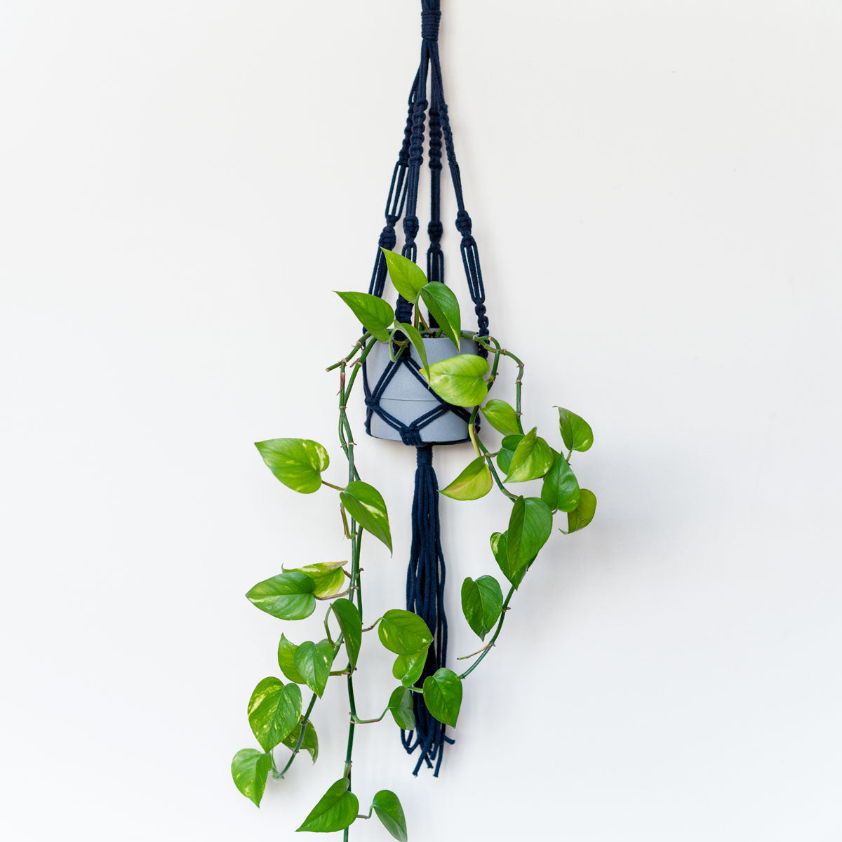 Macrame Plant Hanger Craft Kit